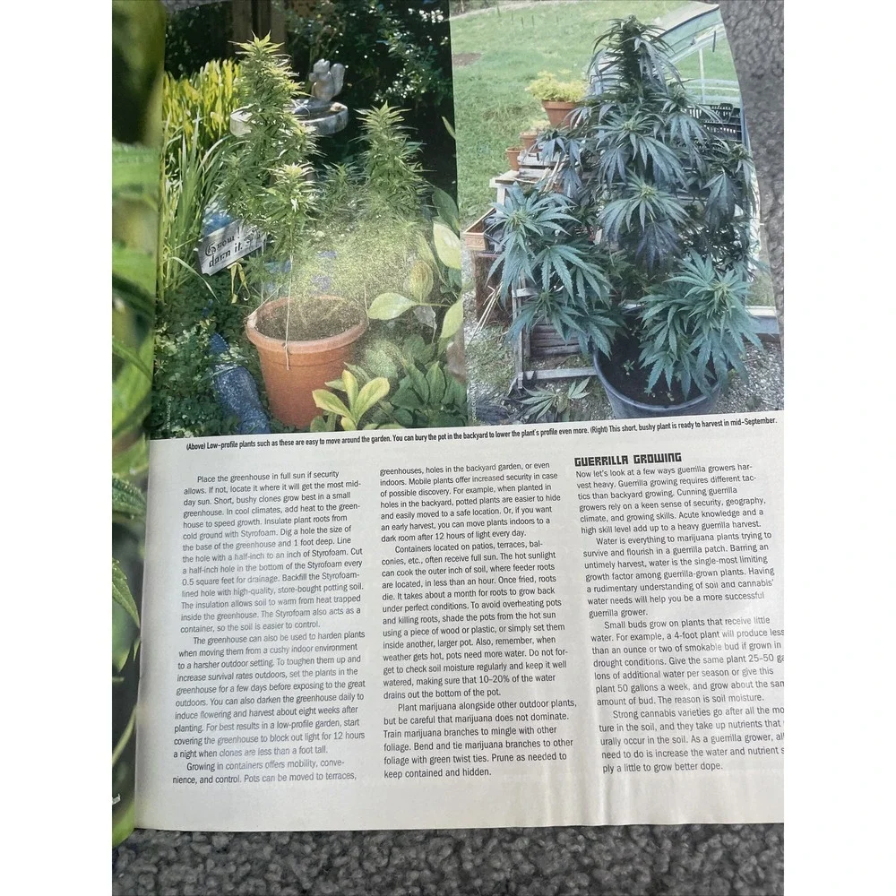 High Times Pauly Shore Summer‎ Planting Guide July 2003 Magazine